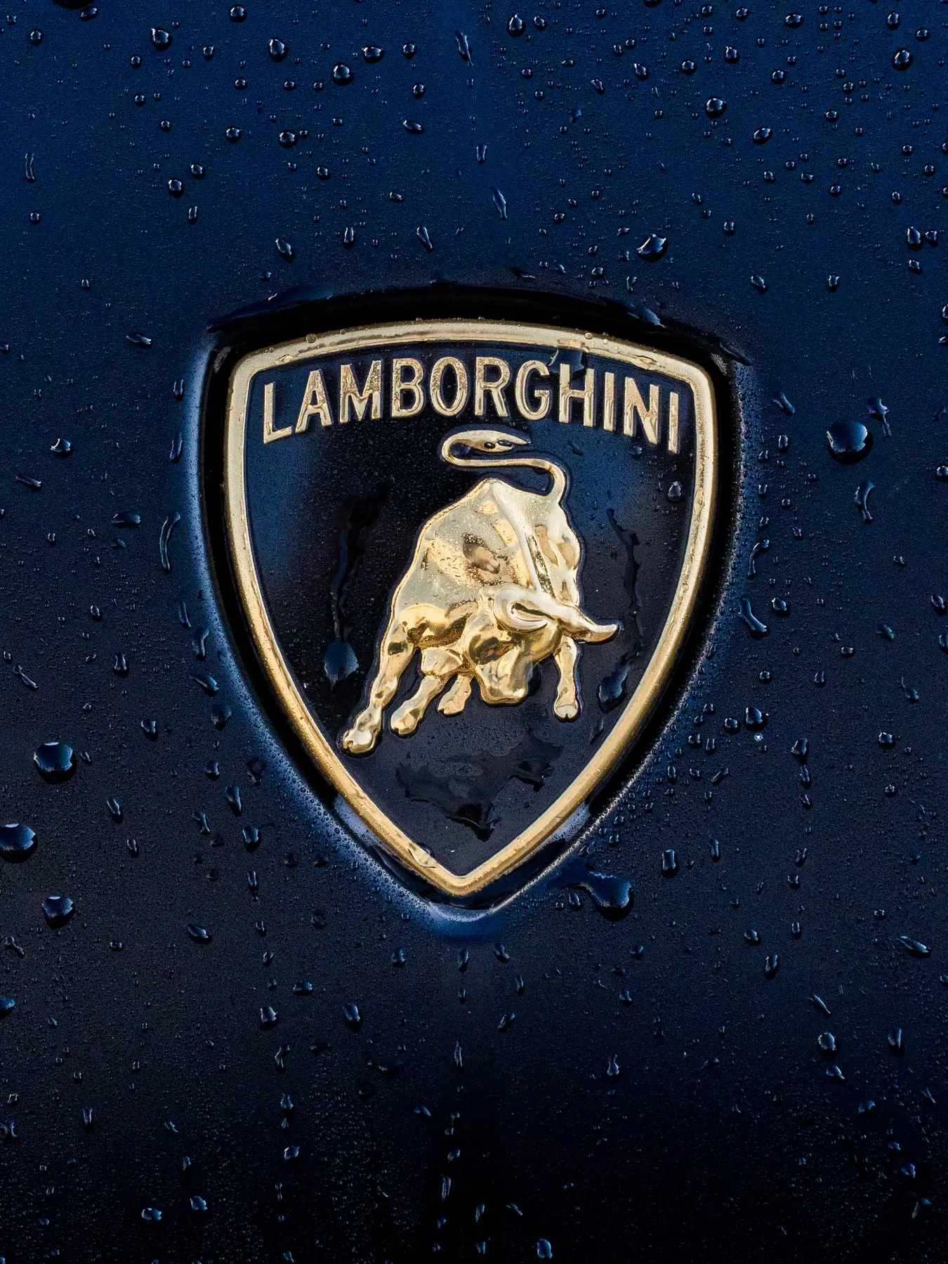 Water beading tight on the Lamborghini badge of a freshly washed car