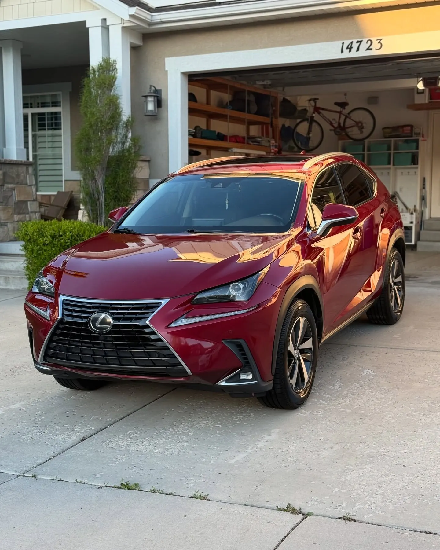 A red Lexus NX in a driveway, paint polished to a clean gloss