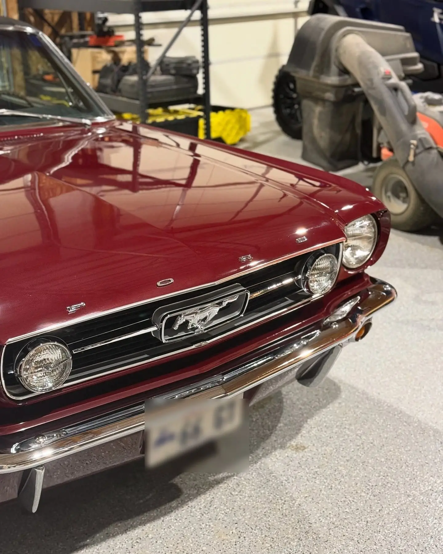 A restored maroon 1966 Ford Mustang in the shop after correction, gloss deep enough to mirror the ceiling